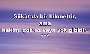 Sukut da bir