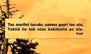 Tac marifet