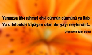 Yumazsa abi