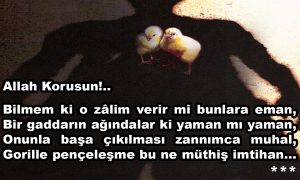 allah korusun 1