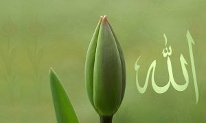 allah2 1