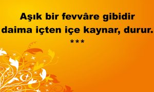 asik bir fevvare