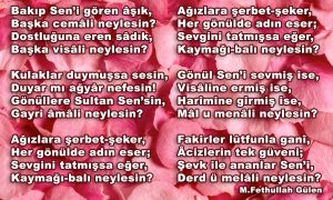 bakip senigoren asik 1