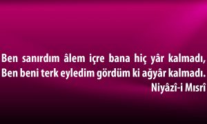 ben sanirdim alem icre 1
