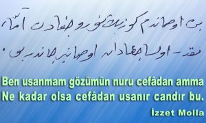 ben usanmam gozumun 2