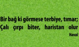 bir bag ki gormese