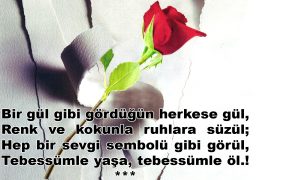 bir gul gibi 1