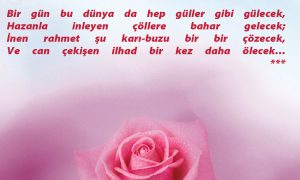 bir gun bu dunya