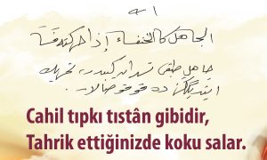 cahil tipki 2