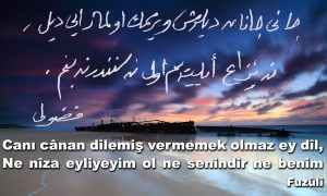cani canan dilemis 2
