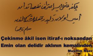 cekinme akil isen