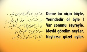 deme bu nicin bu 1