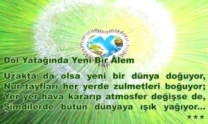 dol yataginda 1