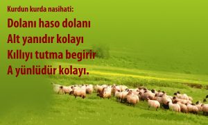 dolani haso dolani 1