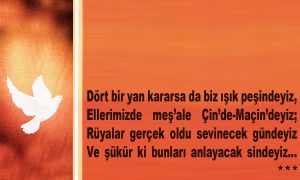 dort bir yan 1