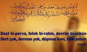 dost bi perva