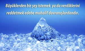 edebe muhalif davranislardan