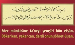 eder munkirane taneyi 2