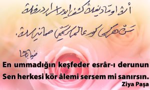 en ummadigin kesfeder
