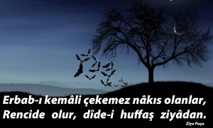 erbabi kemali cekemez 1