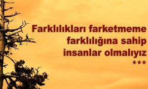 farkliliklari farketmeme