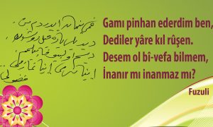 gami pinhan