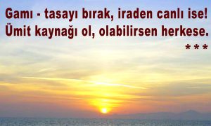 gami tasayi birak