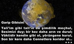 garip gibisin