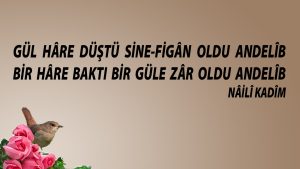 gul hare dustu 1