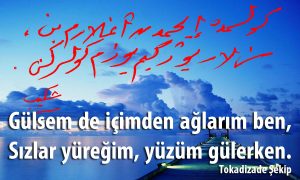 gulsem de icimden 2