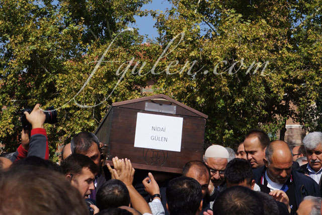 hasbi gulen19