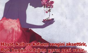 hayat kalb ve