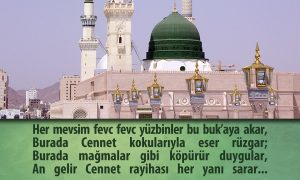 her mevsim