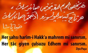 her sahsi harim 2