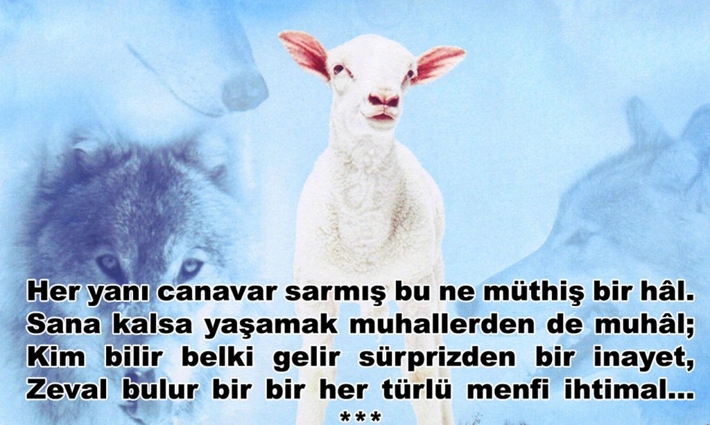 her yani canavar
