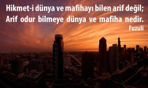 hikmeti dunya ve
