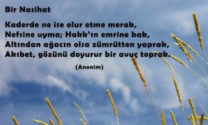 kaderde ne ise olur