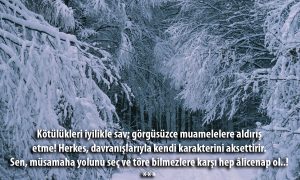 kotulukleri iyilikle