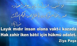 layikmidir insan