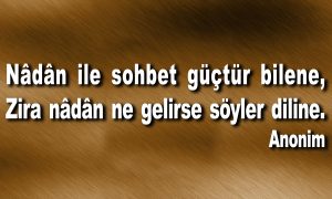nadan ile sohbet 1