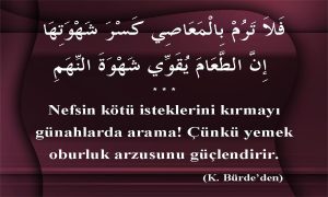 nefsin kotu isteklerini 1