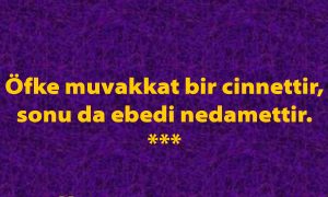 ofke muvakkat bir