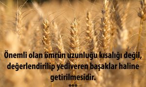 onemli olan