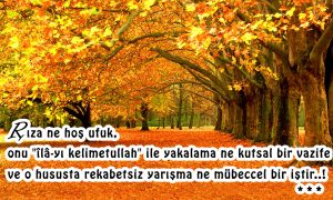 riza ne hos ufuk 1