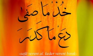 safa veren ol