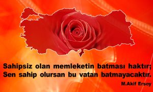 sahipsiz vatanin