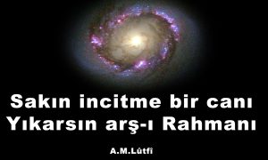 sakin incitme bir cani 1