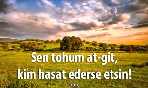 sen tohum at git