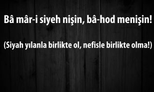 siyah yilanla birlikte