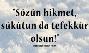 sozun hikmet 1